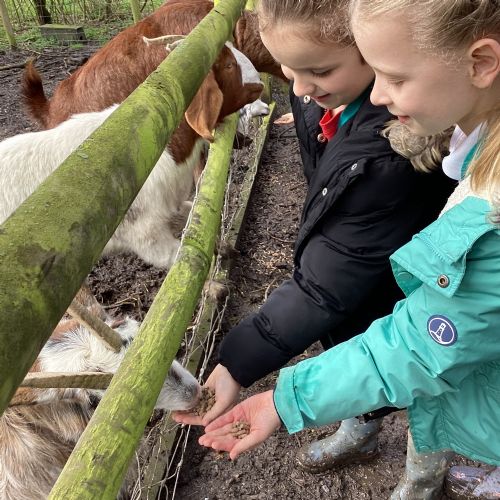 Visit to South Angle Farm - Mar 24
