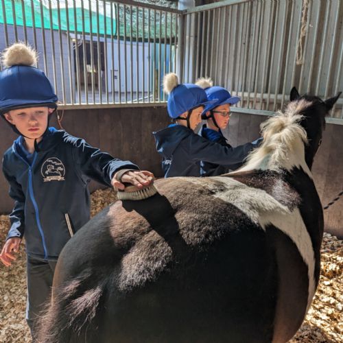 Pony Academy September 2023