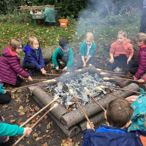 Wandlebury Visit - Einstein Class